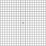how to use an amsler grid